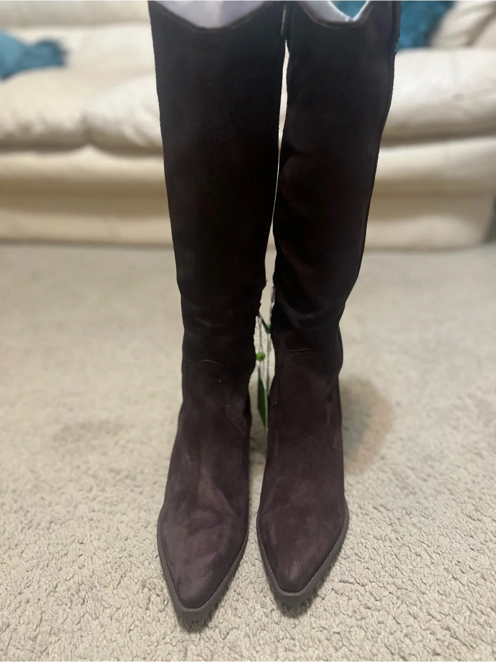 Sam Edelman Over-the-Knee Suede Boots in Dark Brown